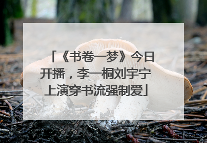 《书卷一梦》今日开播，李一桐刘宇宁上演穿书流强制爱