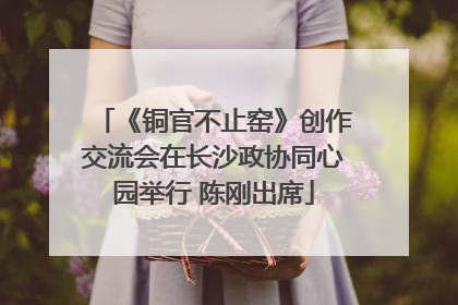 《铜官不止窑》创作交流会在长沙政协同心园举行 陈刚出席
