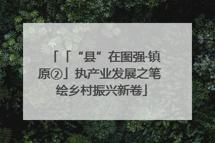 「“县”在图强·镇原②」执产业发展之笔 绘乡村振兴新卷