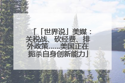 「世界说」美媒：关税战、砍经费、排外政策……美国正在扼杀自身创新能力