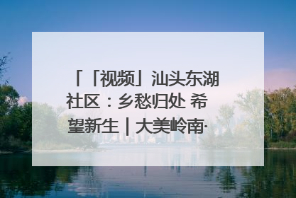 「视频」汕头东湖社区：乡愁归处 希望新生｜大美岭南·百村焕新记