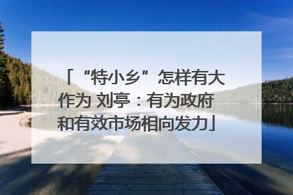 “特小乡”怎样有大作为 刘亭：有为政府和有效市场相向发力