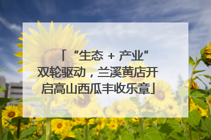 “生态 + 产业”双轮驱动，兰溪黄店开启高山西瓜丰收乐章