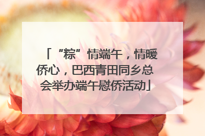“粽”情端午，情暖侨心，巴西青田同乡总会举办端午慰侨活动