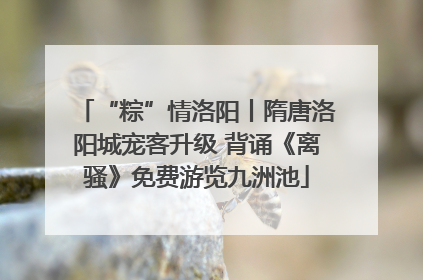 “粽”情洛阳丨隋唐洛阳城宠客升级 背诵《离骚》免费游览九洲池