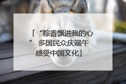 “粽香飘进我的心” 多国民众庆端午感受中国文化