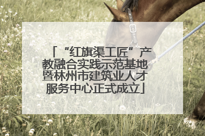“红旗渠工匠”产教融合实践示范基地暨林州市建筑业人才服务中心正式成立