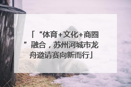 “体育+文化+商圈”融合，苏州河城市龙舟邀请赛向新而行