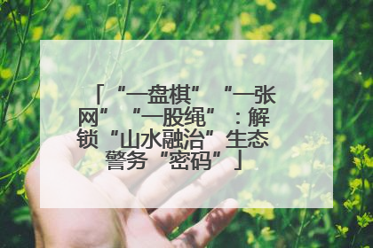 “一盘棋”“一张网”“一股绳”：解锁“山水融治”生态警务“密码”
