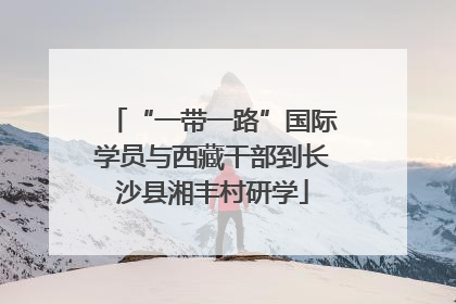 “一带一路”国际学员与西藏干部到长沙县湘丰村研学