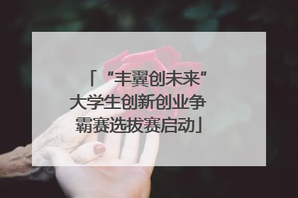 “丰翼创未来”大学生创新创业争霸赛选拔赛启动