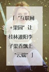 “互联网+果园”让桂林灌阳李子果香飘上“云端”
