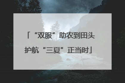 “双服”助农到田头 护航“三夏”正当时