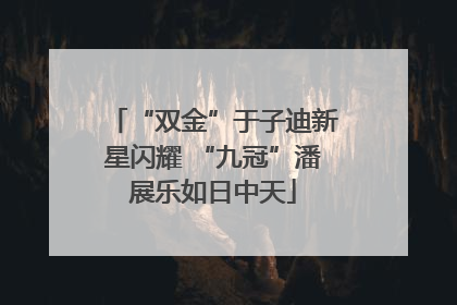 “双金”于子迪新星闪耀 “九冠”潘展乐如日中天