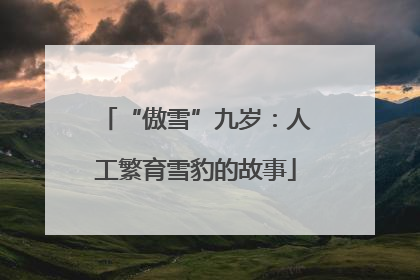 “傲雪”九岁：人工繁育雪豹的故事