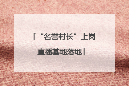 “名誉村长”上岗 直播基地落地
