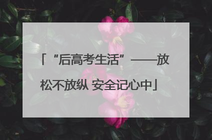 “后高考生活”——放松不放纵 安全记心中