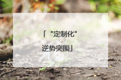 “定制化” 逆势突围