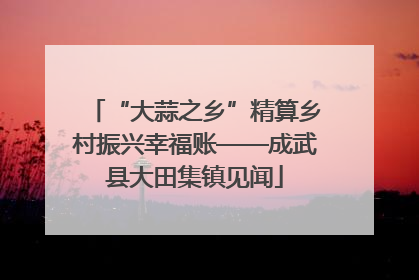 “大蒜之乡”精算乡村振兴幸福账——成武县大田集镇见闻