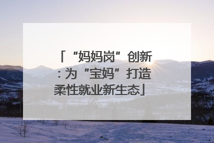 “妈妈岗”创新：为“宝妈”打造柔性就业新生态