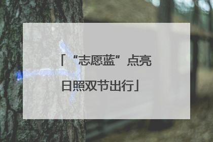 “志愿蓝”点亮日照双节出行