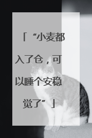 “小麦都入了仓，可以睡个安稳觉了”