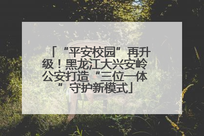“平安校园”再升级！黑龙江大兴安岭公安打造“三位一体”守护新模式