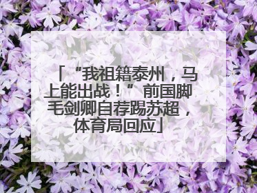“我祖籍泰州，马上能出战！”前国脚毛剑卿自荐踢苏超，体育局回应
