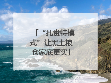 “扎赉特模式”让黑土粮仓家底更实