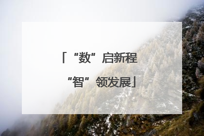“数”启新程 “智”领发展