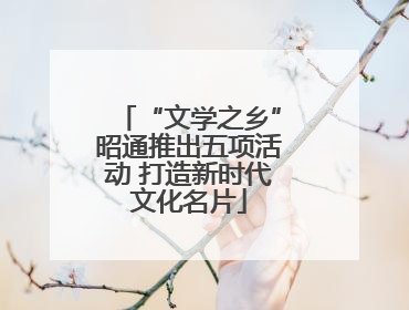 “文学之乡”昭通推出五项活动 打造新时代文化名片