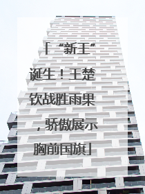 “新王”诞生！王楚钦战胜雨果，骄傲展示胸前国旗