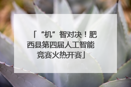 “机”智对决！肥西县第四届人工智能竞赛火热开赛