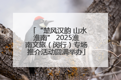 “楚风汉韵 山水淮南” 2025淮南文旅（闵行）专场推介活动圆满举办