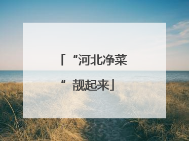 “河北净菜”靓起来
