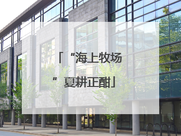 “海上牧场”夏耕正酣