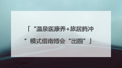 “温泉医康养+旅居腾冲”模式借南博会“出圈”
