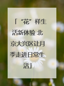“花”样生活新体验 北京大兴区让月季走进日常生活
