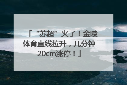 “苏超”火了！金陵体育直线拉升，几分钟20cm涨停！