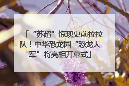 “苏超”惊现史前拉拉队！中华恐龙园“恐龙大军”将亮相开幕式