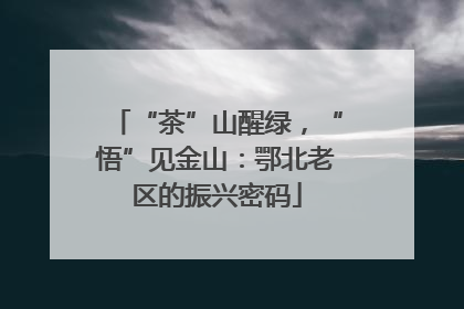 “茶”山醒绿，“悟”见金山：鄂北老区的振兴密码