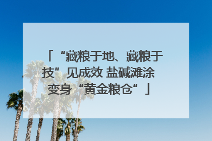 “藏粮于地、藏粮于技”见成效 盐碱滩涂变身“黄金粮仓”