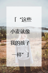 “这些小麦就像我的孩子一样”