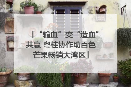 “输血”变“造血”共赢 粤桂协作助百色芒果畅销大湾区