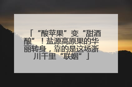 “酸苹果”变“甜酒酿”！盐源高原果的华丽转身，靠的是这场浙川千里“联姻”