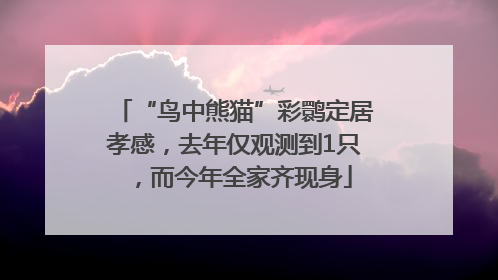 “鸟中熊猫”彩鹮定居孝感，去年仅观测到1只，而今年全家齐现身