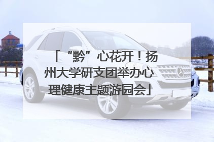 “黔”心花开！扬州大学研支团举办心理健康主题游园会