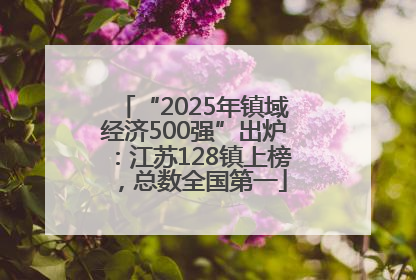 “2025年镇域经济500强”出炉：江苏128镇上榜，总数全国第一