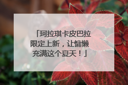 珂拉琪卡皮巴拉限定上新，让慵懒充满这个夏天！