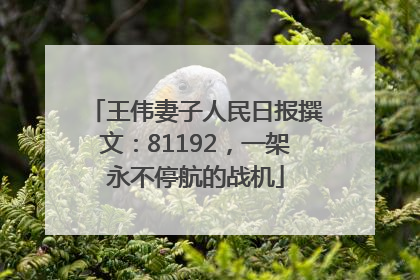 王伟妻子人民日报撰文：81192，一架永不停航的战机